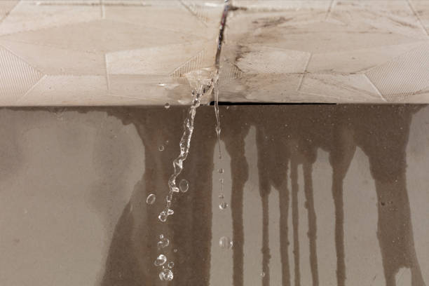 Professional Flood Damage Cleanup technician working in Scottsmoor, FL